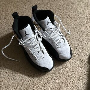 Jordan Retro 12 (GS) no box